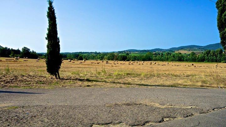 Appartamento Old England In Chianti Montespertoli Dış mekan fotoğraf